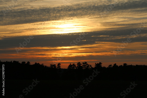 Orange-goldener Sonnenuntergang in der Lüneburger Heide