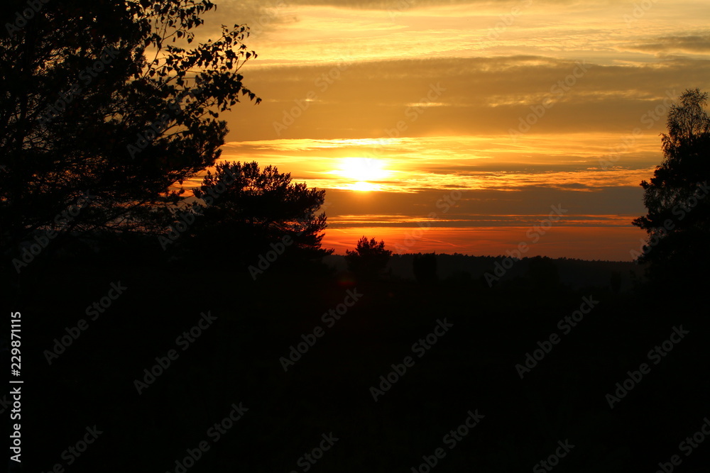 Orange-goldener Sonnenuntergang in der Lüneburger Heide