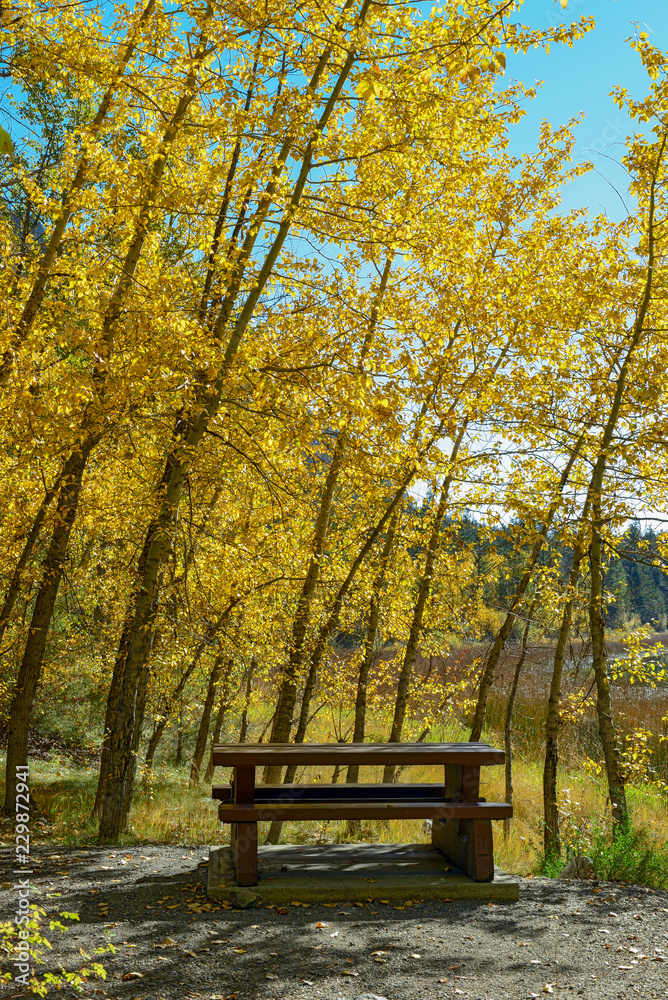 Picnic table under autumn foliage