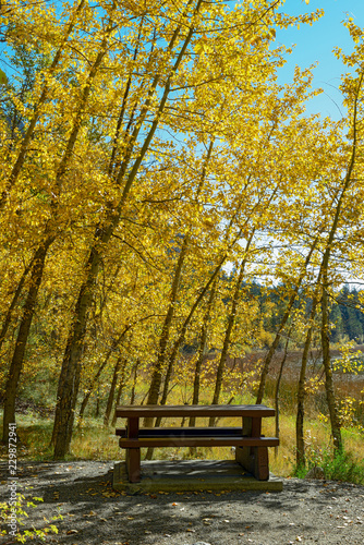 Picnic table under autumn foliage
