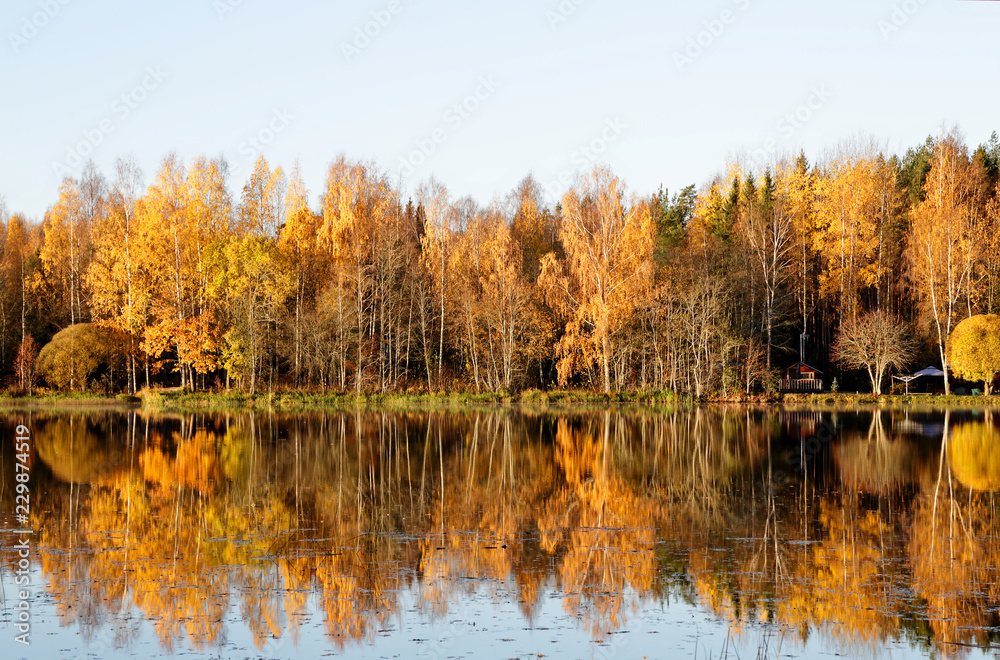 Yellow trees reflecting on water