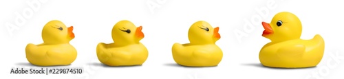 Fotografie Rubber Ducks Family
