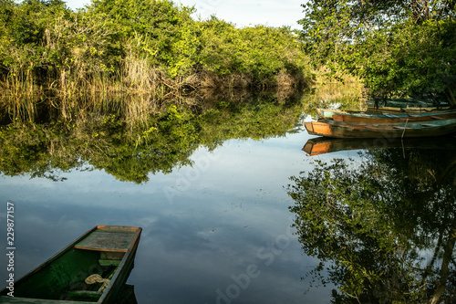 Rustic wooden boats in lagoon in Marimbus Swamp in the Chapada Diamantina in Brazil
