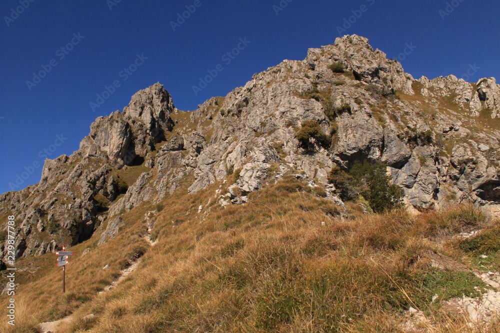 Ziel in Sicht! / Blick hinauf zum Gipfel des Monte Grona (Luganer Alpen)