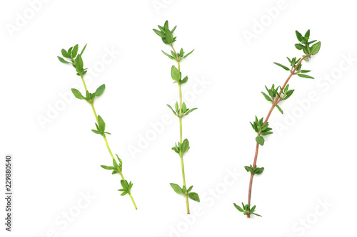 Thyme bunch isolated on white background close up