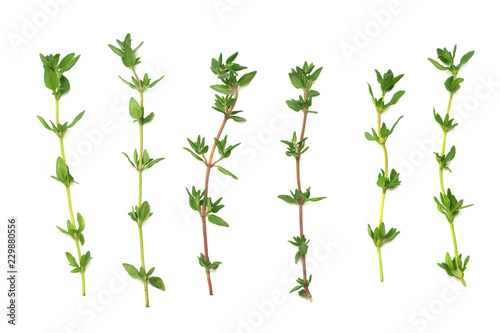 Thyme bunch isolated on white background close up