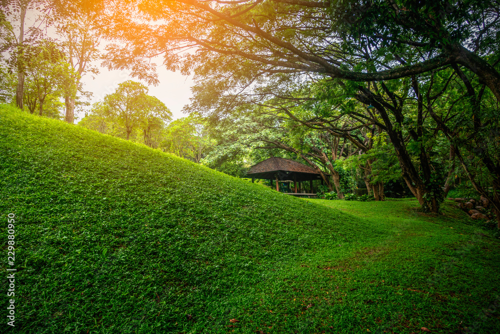 Grass hill with small pavilion for background Grass hill with small pavilion for background