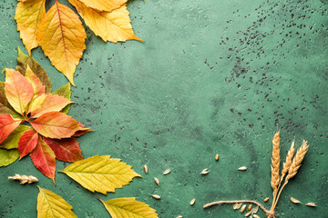 Beautiful autumn leaves with wheat ears on color background
