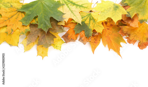 Composition with autumn leaves and space for text on white background, top view