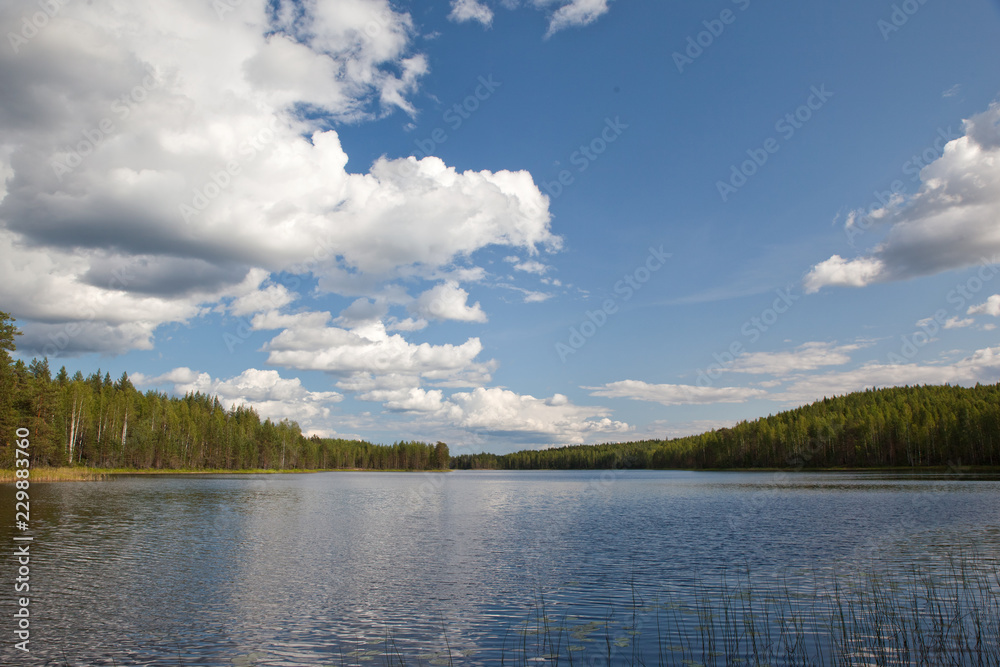 Beautiful volumetric clouds on a sunny day over a quiet forest lake