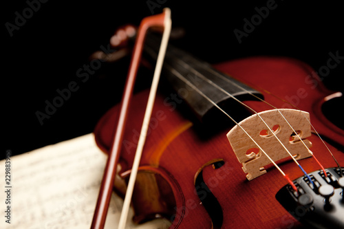 violin on black