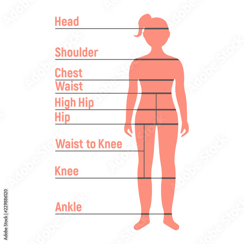 Girl Size Chart. Human front side Silhouette. Isolated on White Background. Vector illustration