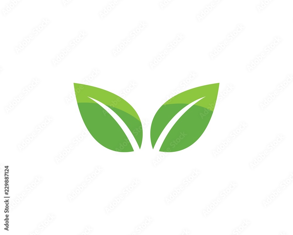 green leaf ecology nature element green leaf ecology nature element