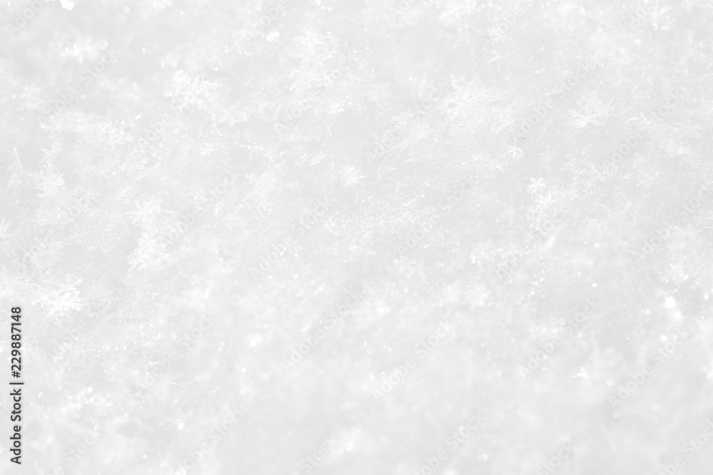 Shiny white background. A snow texture on a winter sunny day. Shiny white background. A snow texture on a winter sunny day.