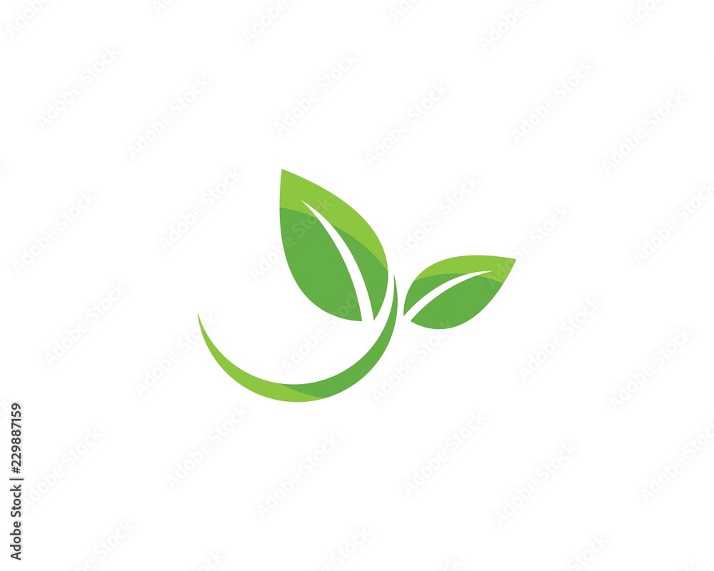 green leaf ecology nature element green leaf ecology nature element