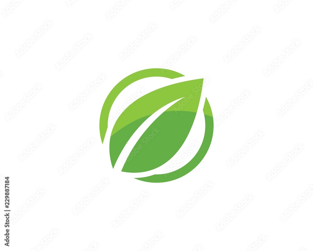 green leaf ecology nature element green leaf ecology nature element