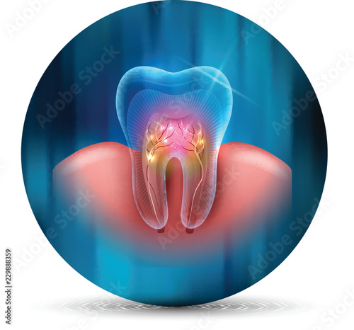 Tooth cross section scientific modern design icon on an abstract blue background