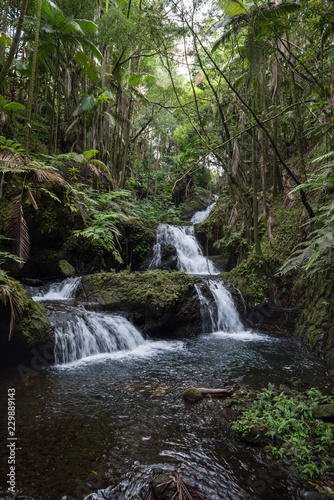 waterfall in deep forest © Alex Coleman