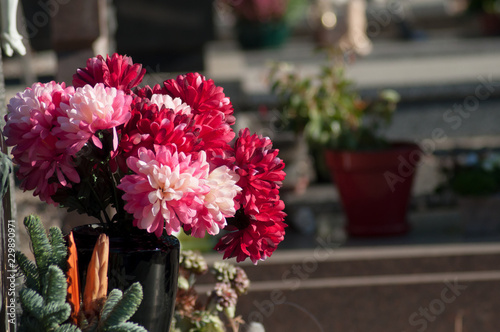 closeup of red artificials chrysanthemums on tomb in cemetery © pixarno