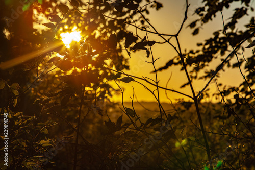 Sonennuntergang