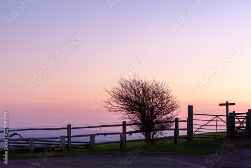 Fence and hawthorn in silhouette against dawn sky