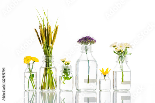 Fotografie glass jars with blooming flowers isolated on white, alternative medicine concept