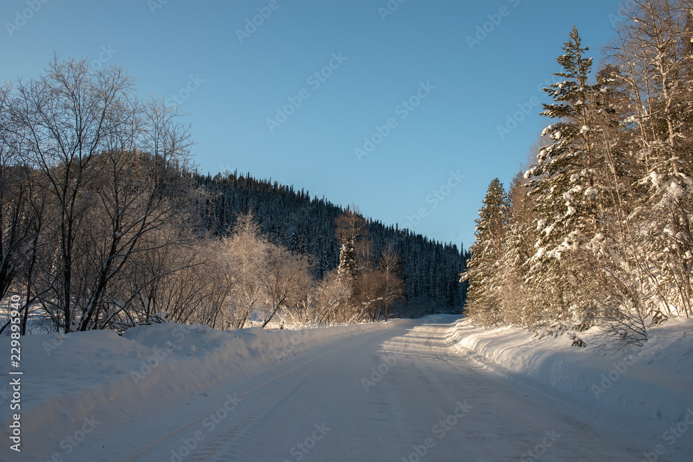 winter landscape with river and trees winter landscape with river and trees