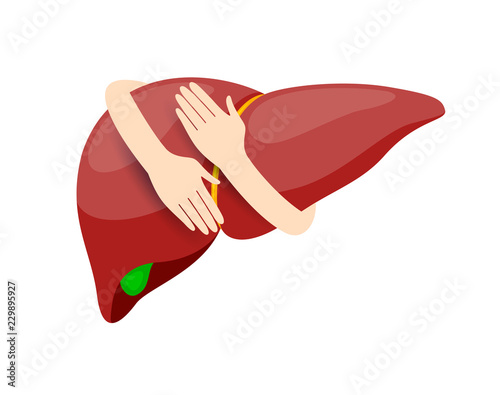 Hands embrace human liver. Health care concept. Icon design. Illustration isolated on white background.