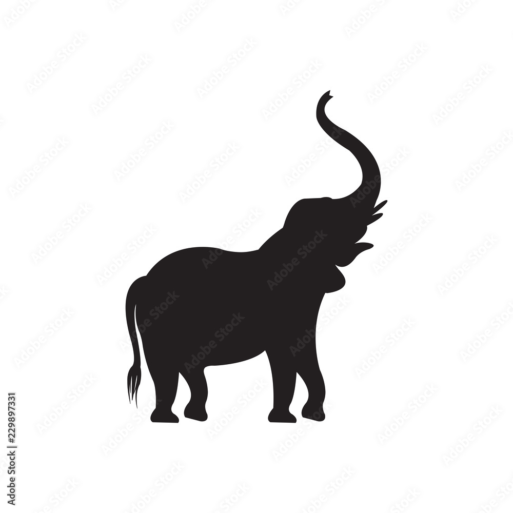 Elephant vector drawing on white backdrop