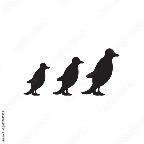 Vector image  of penguins' silhouettes