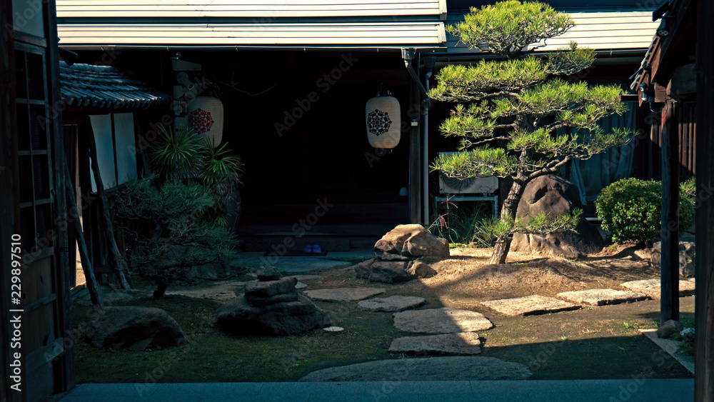 Obraz premium A lone Japanese Pine tree sits in the courtyard of a classic old style Japanese house. Sun rays hit the tree to illuminate it against the shadow of the house and garden.