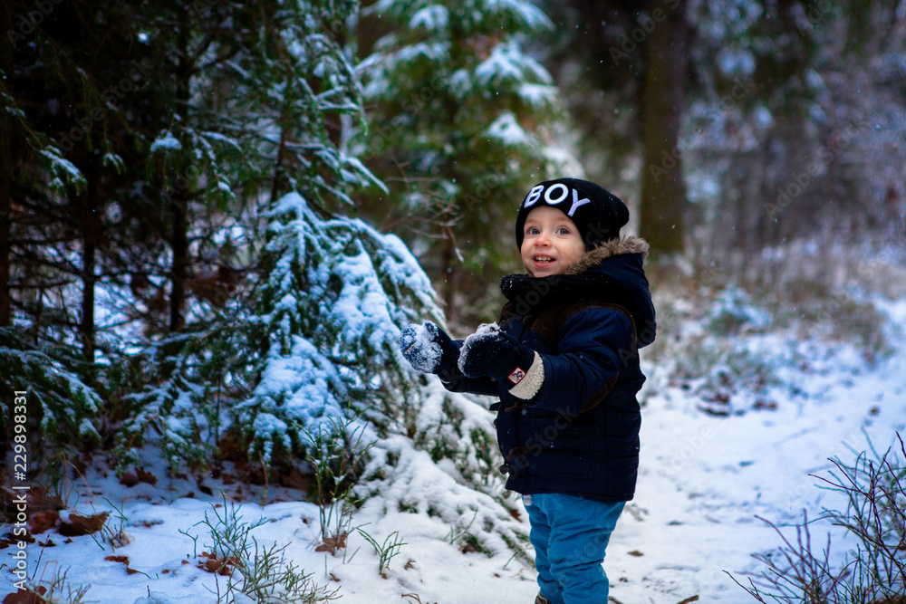 Little boy walking in the winter forest
