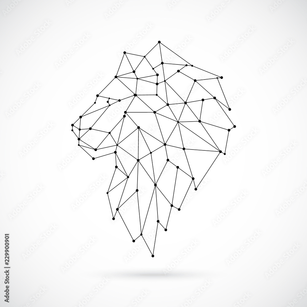 Fototapeta Geometric Lion silhouette. Image of Lion in the form of constellation. Vector illustration.