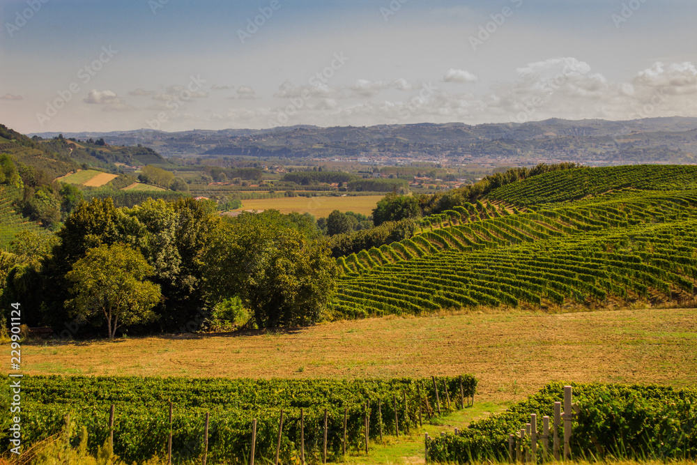 Santa Vittoria d'Alba village, vineyards and countryside landscape in Piemonte. Alba Piemonte, Italy Europe