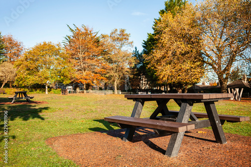 Picnic table in a park on a bright sunny day in Autumn