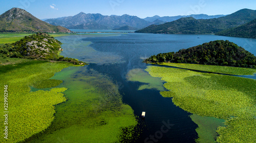 Fototapeta Naklejka Na Ścianę i Meble -  Aerial view of the beautiful landscape of Lake Skadar in the mountain on a sunny day. Montenegro. The territory of Lake Skadar overgrown with plants.