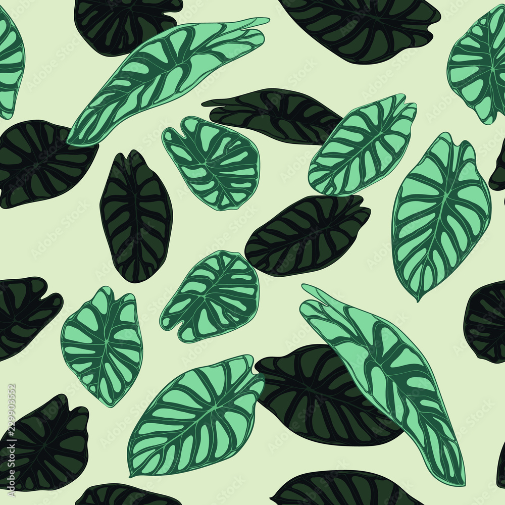 Seamless Tropical Pattern. Trendy Background with Rain Forest Plants. Vector Leaf of Alocasia. Green Araceae. Handwritten Jungle Foliage in Watercolor Style. Seamless Exotic Pattern for Tile, Fabric. Seamless Tropical Pattern. Trendy Background with Rain Forest Plants. Vector Leaf of Alocasia. Green Araceae. Handwritten Jungle Foliage in Watercolor Style. Seamless Exotic Pattern for Tile, Fabric.