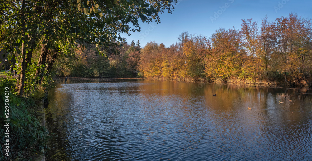 Obraz premium Autumn gold colours at pond in park Tivoli in Ljubljana, Slovenia