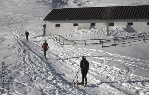 skier in the mountains photo