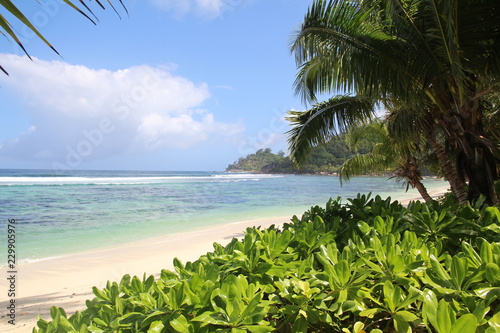 Sunshine On Mahe`Beach Seychells photo