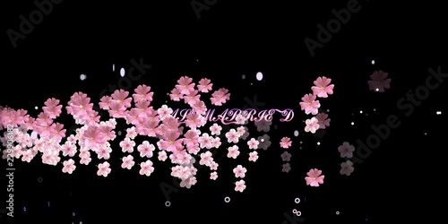 360 degree FLORAL BACKGROUND