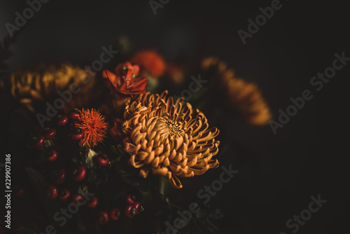 Dark and moody Autumnal flowers photo