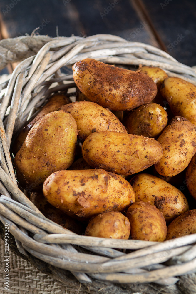 New harvest potatoes not washed with soil on table New harvest potatoes not washed with soil on table