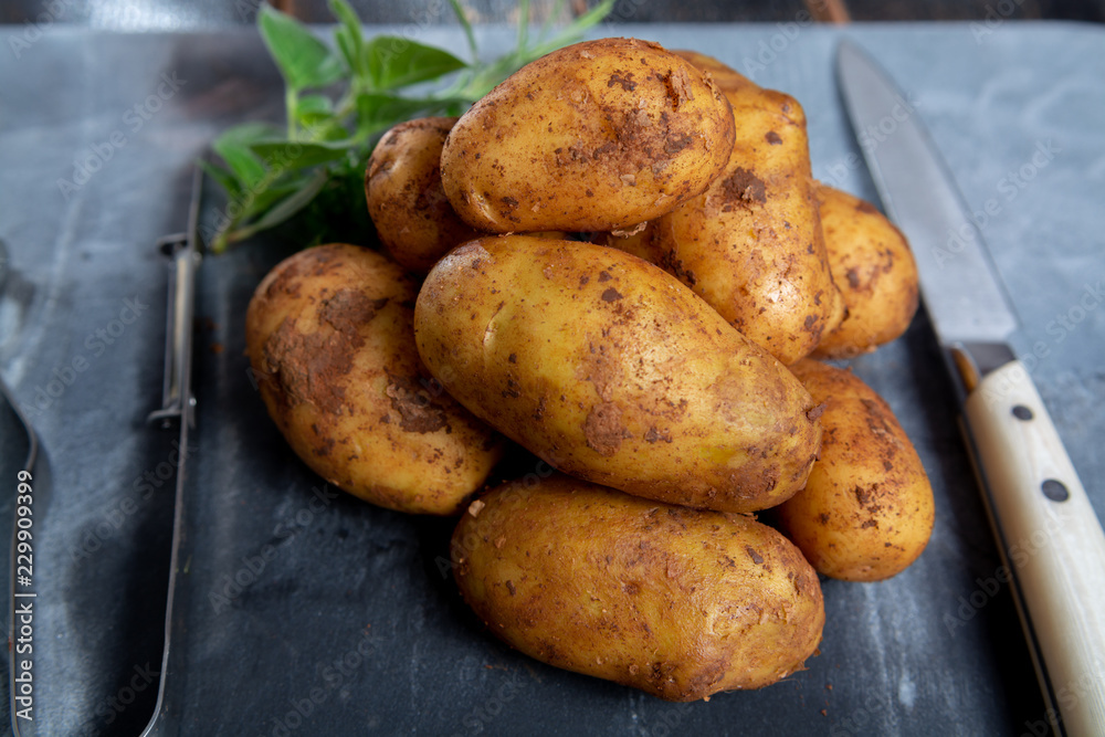 New harvest potatoes not washed with soil on table New harvest potatoes not washed with soil on table