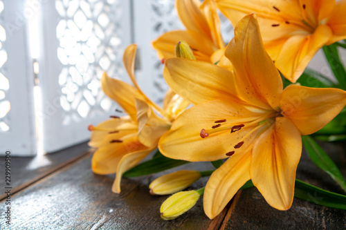 Fototapeta Naklejka Na Ścianę i Meble -  Sensual bouquet of beautiful orange lilies flowers close up