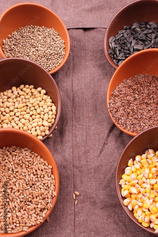 seed seed