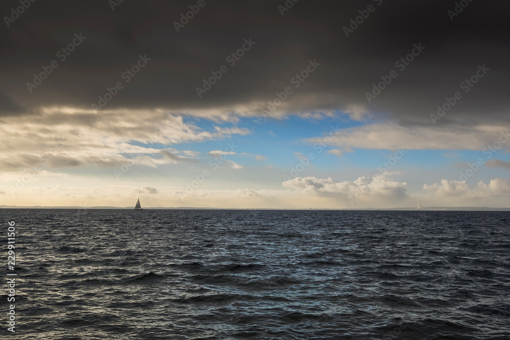 Obraz premium OLYMPUS DIGITAL CAMERA