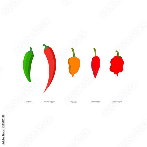 Vector Illustration Hot Spicy Peppers