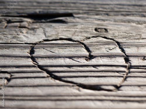 Heart engraved in Wood