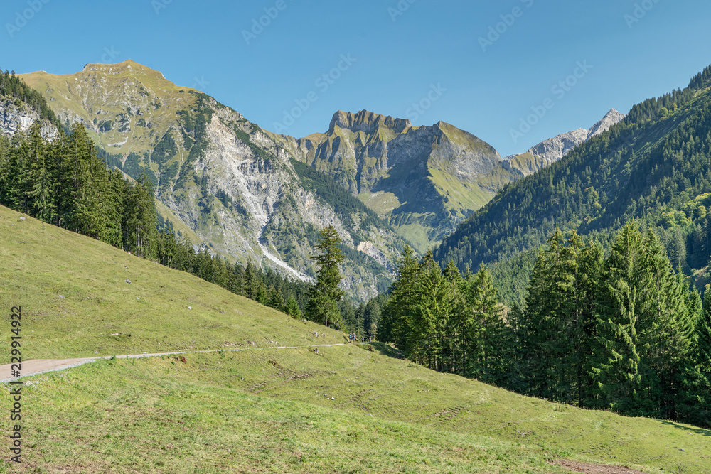 Close-up-View to Oytal-Valley with Mountian Panorama / Bavaria Close-up-View to Oytal-Valley with Mountian Panorama / Bavaria
